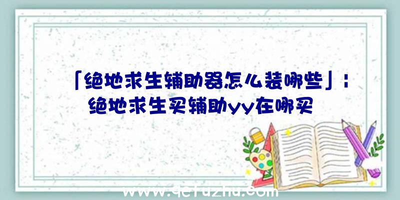 「绝地求生辅助器怎么装哪些」|绝地求生买辅助yy在哪买